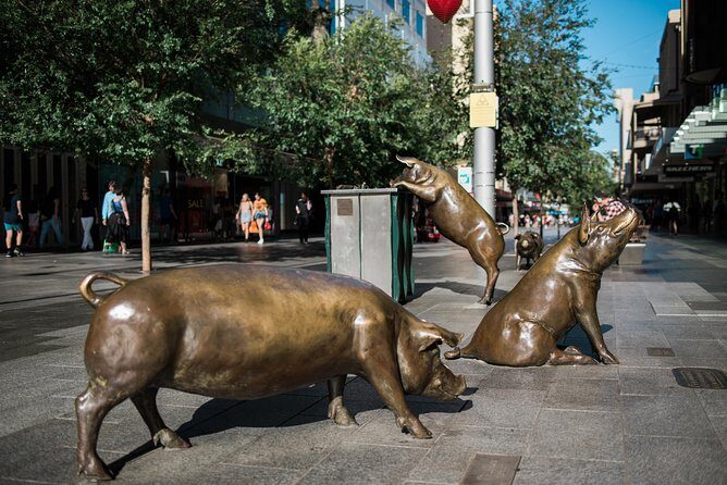 Private Adelaide Walking Tour - Practical Details & Value