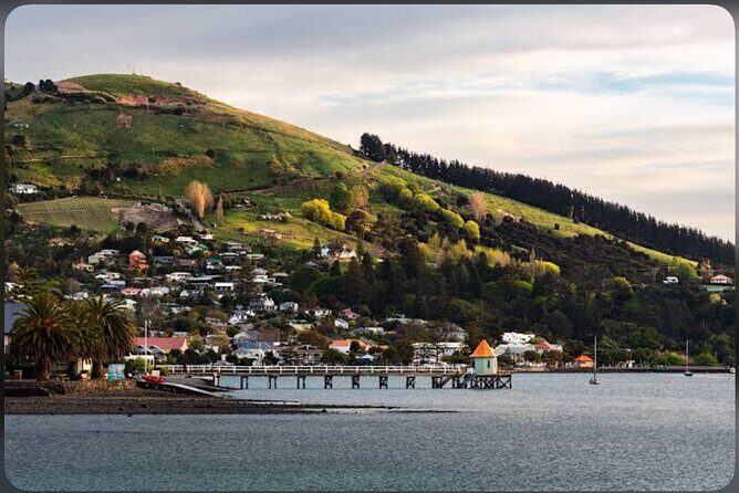 Private Akaroa Day Tour From Christchurch - Final Thoughts