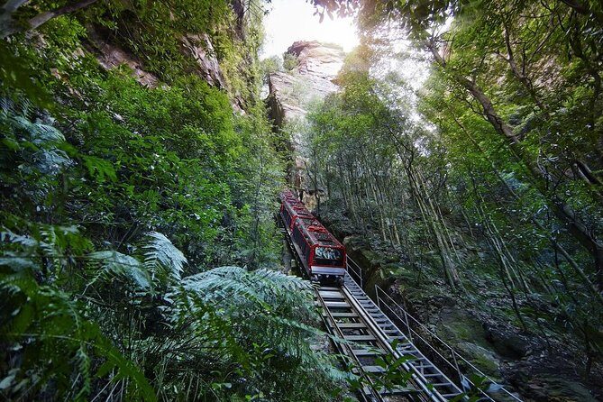 Private All Blue Mountains Day Tour - The Scenic World Experience: Worth Considering