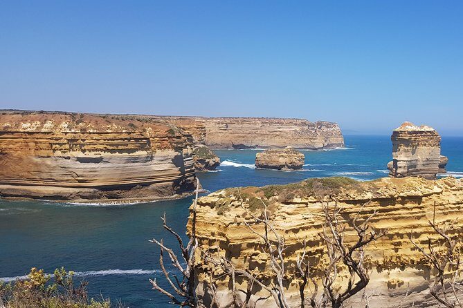 Private and Customised Great Ocean Road and Luxury Tour - Who Is This Tour Best For?