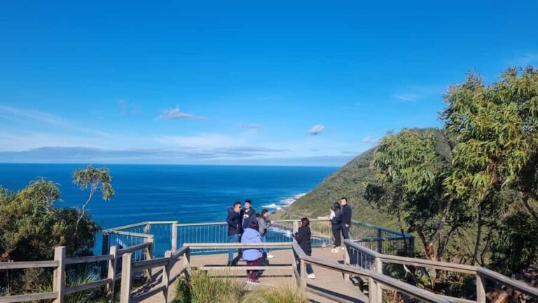 Private and Luxury Great Ocean Road and 12 Apostles Day Tour - What to Expect from the Itinerary