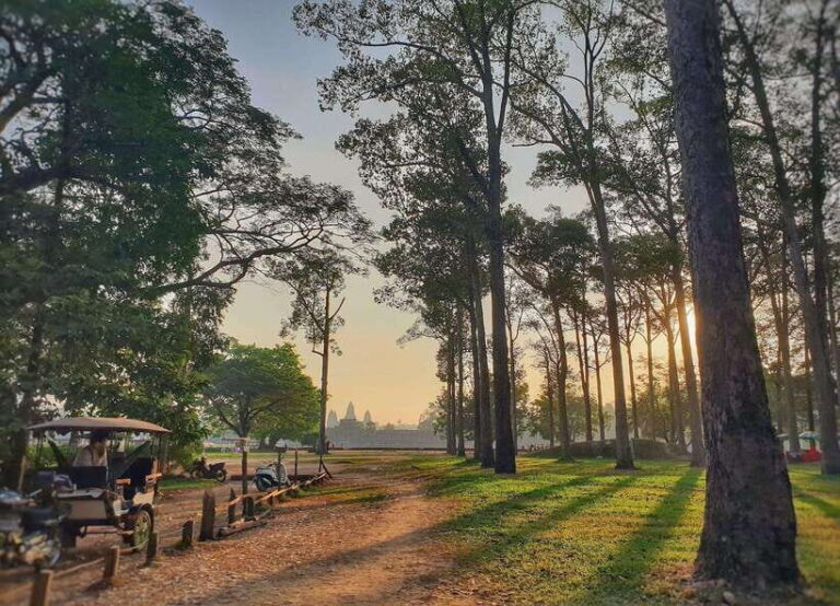 Private Angkor Park Guided Tour (Must-Visit Temples) - A Day in the Life of the Angkor Guided Tour