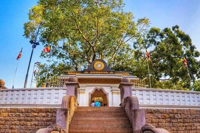 Private Anuradhapura & Wilpattu Safari Day Tour From Dambulla - Transition to Wildlife: Wilpattu National Park
