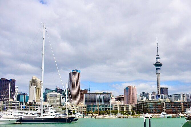 Private Auckland best Spots + Piha beach and rainforest day Tour - Real Voices from Travelers