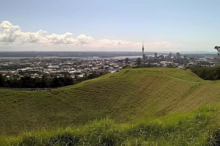 Private Auckland Best Top 5 Spots Half day Tour - Breaking Down the Itinerary