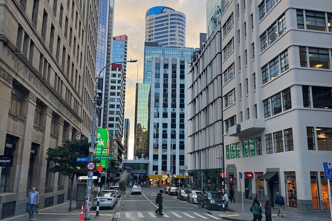 Private Auckland City Tour Including Auckland Tour House Visit - What’s Not Included and Considerations