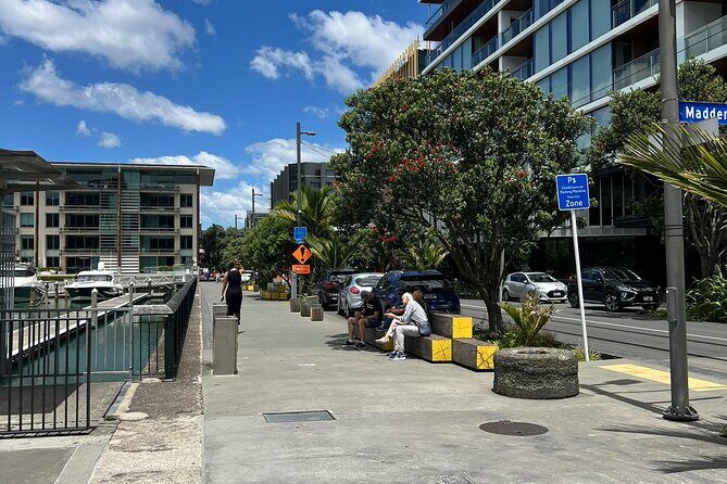 Private Auckland City Tour With Spectacular Harbour Views - Transportation & Comfort