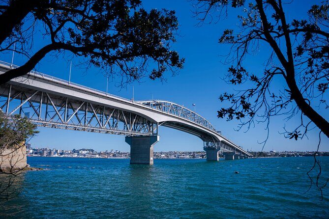 Private Auckland Half Day Tour of Attractions and Museums - Practical Details and What You Can Expect