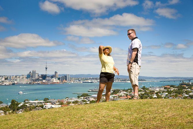 Private Auckland Half Day Tour - Pricing and Value
