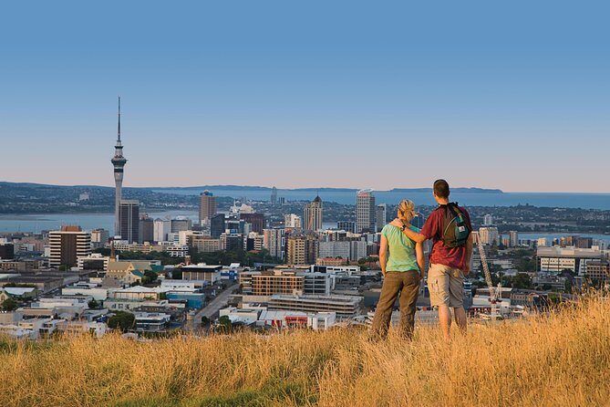 Private Auckland Luxury Tour - Transportation and Comfort