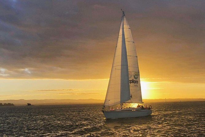 Private Auckland North Eastern Coast Tour - A Closer Look at the Tour Itinerary