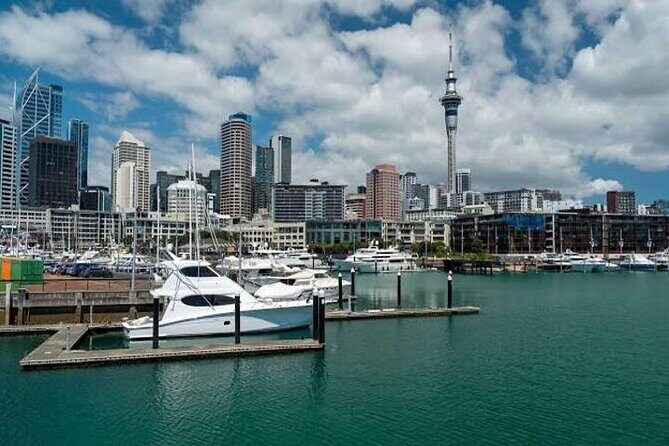 Private Auckland Shore Excursion: Half-Day City Highlights - Crossing An Icon: Auckland Harbour Bridge
