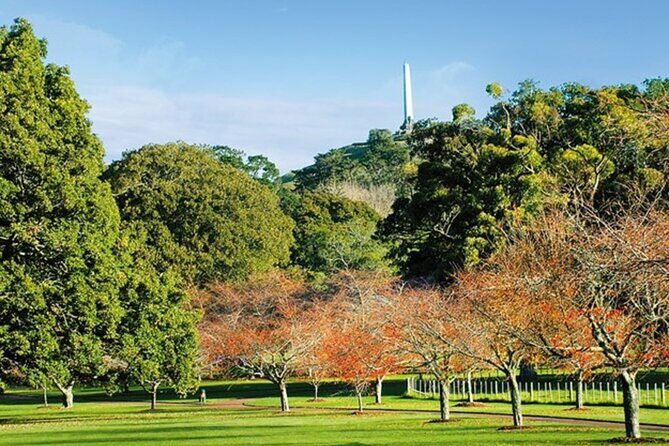 Private Auckland Sightseeing - Full Day/Half Day Hidden Gems Tour - Value and Practicality