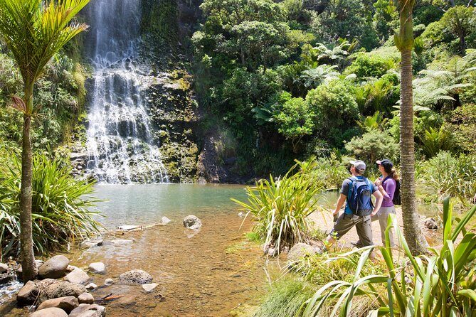 Private Auckland West Coast Day Tour - Transportation and Group Size