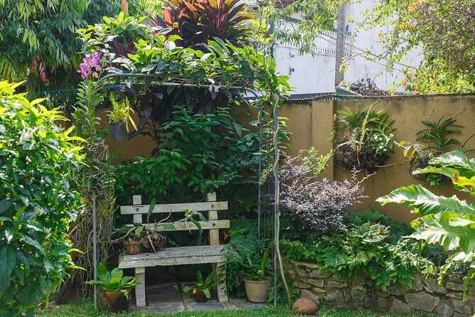 Private Authentic Sri Lankan Cooking Class with a Grandmother in Colombo - Why It Stands Out