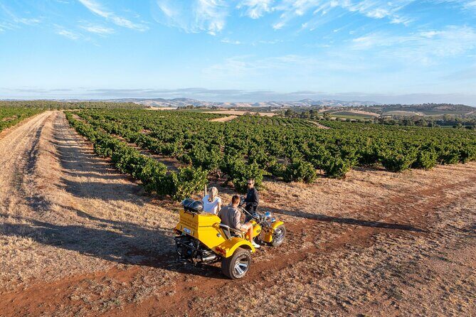 Private Barossa's Best Sightseeing Tour for Two - Authentic Reviews from Participants