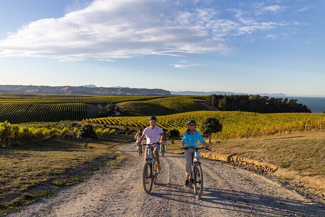 Private Biking Wine Tour (full day) in the Marlborough Region - Analyzing the Value: Is This Tour Worth It?