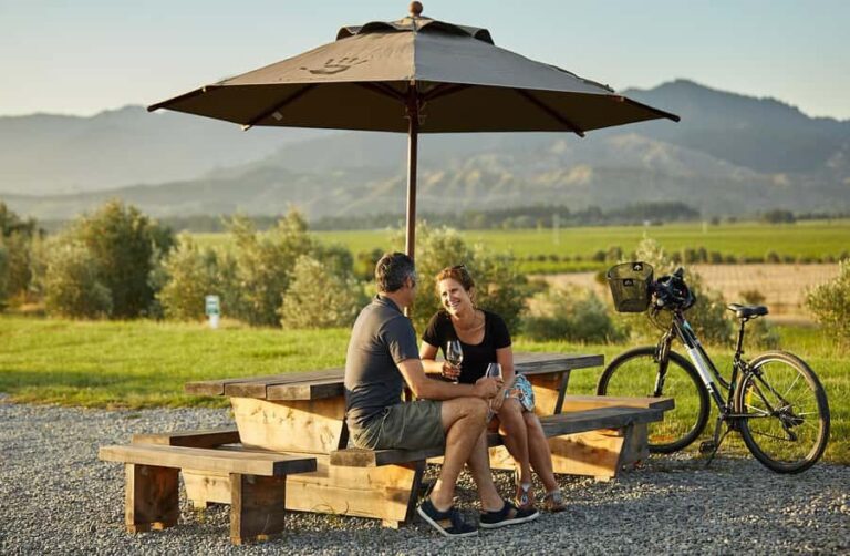 Private Biking Wine Tour (Full Day) Marlborough Region - An In-Depth Look at the Itinerary