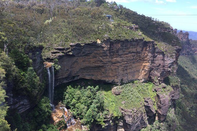 PRIVATE Blue Mountains tour & Koalas, Kangaroos, Cruise plus more - Key Points