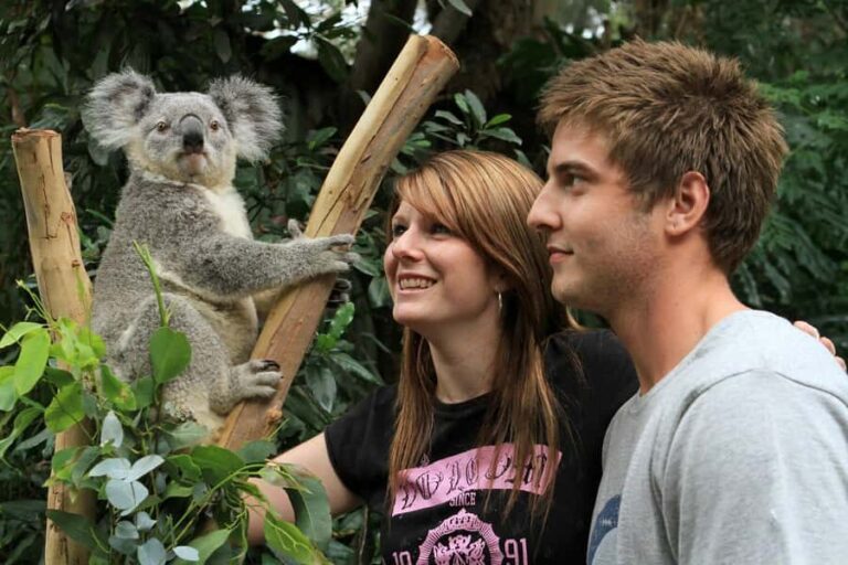 Private BlueMountains, ScenicWorld & AustralianWildlife Tour - What’s the Experience Like?