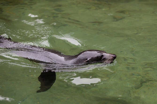 Private boat charter in Abel Tasman National Park - Detailed Itinerary Breakdown