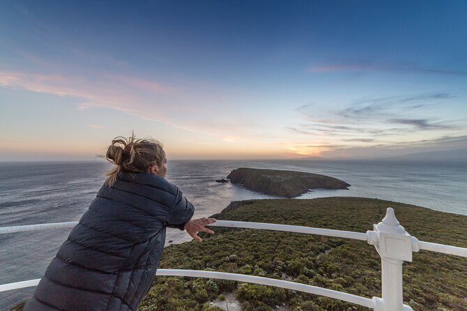 Private Bruny Island Wine, Food,Sightseeing & Lighthouse Day Tour - Frequently Asked Questions