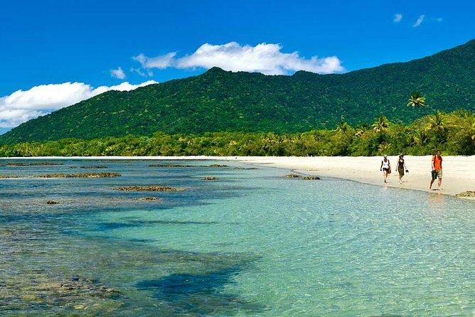 Private Cape Tribulation & Mossman Gorge Day Tour - Analyzing the Value