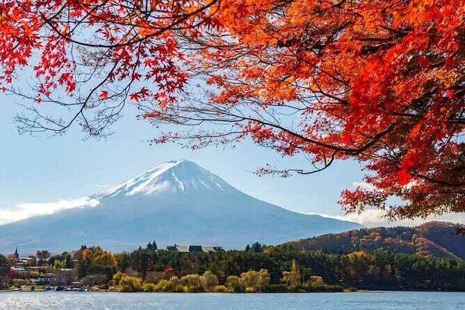 Private Car Tour to Mt. Fuji Lake Kawaguchiko - Analyzing the Value