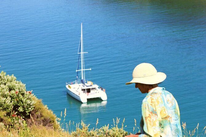 Private Catamaran Full Day Sailing Charter | Bay Of Islands - Pricing and Value