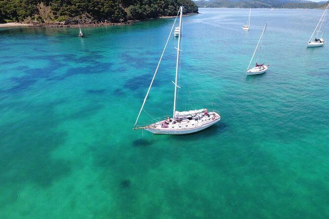 Private Charter Bay of Islands - The Itinerary Breakdown: What You Can Expect