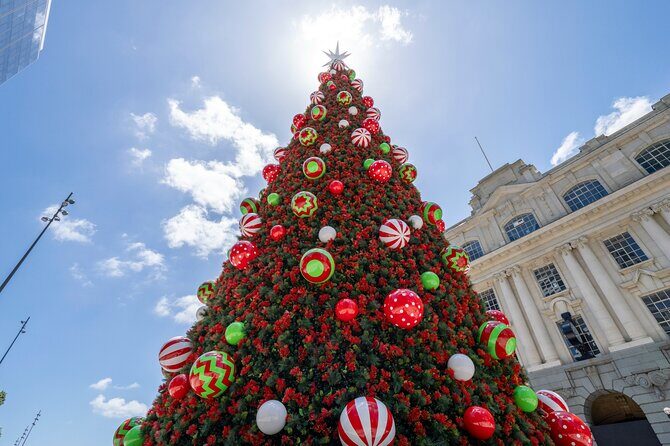 Private Christmas Walking Tour in Auckland City Lights - Why This Tour Matters: Highlights and Value