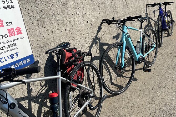 Private Coastline Ebike Tour in Fukuoka - What Travelers Say