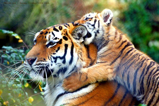 Private Corbett National Park & Nainital Tour from New Delhi - What Reviewers Are Saying