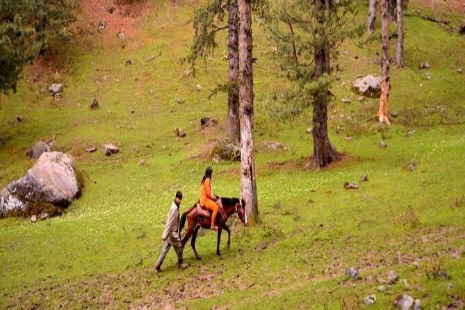 Private Custom Tour: Gulmarg local Sightseeing with guide - The Itinerary Breakdown