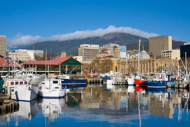 Private custom tour with a local guide Wellington - Why This Tour Offers Great Value