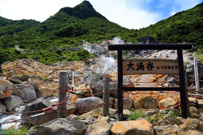 Private Customizable Tour in Hakone - How Does It Compare to Other Options?