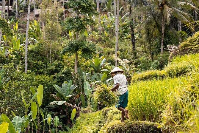 Private Customized Trip to Ubud - Frequently Asked Questions