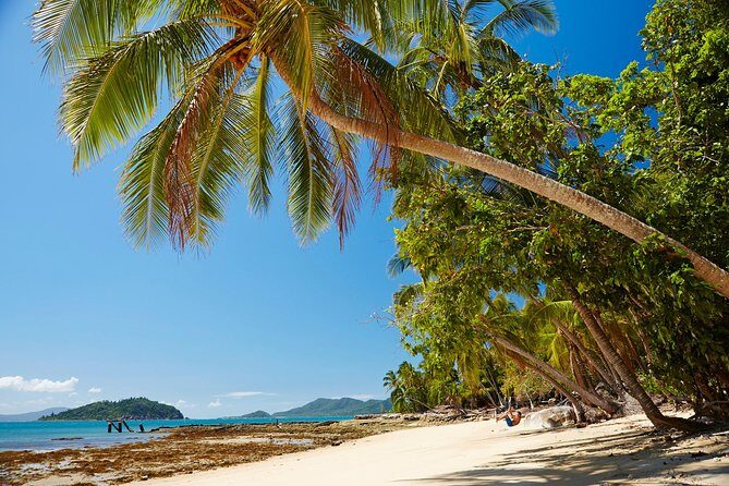 Private Daintree Wanderer Tour - Breaking Down the Itinerary