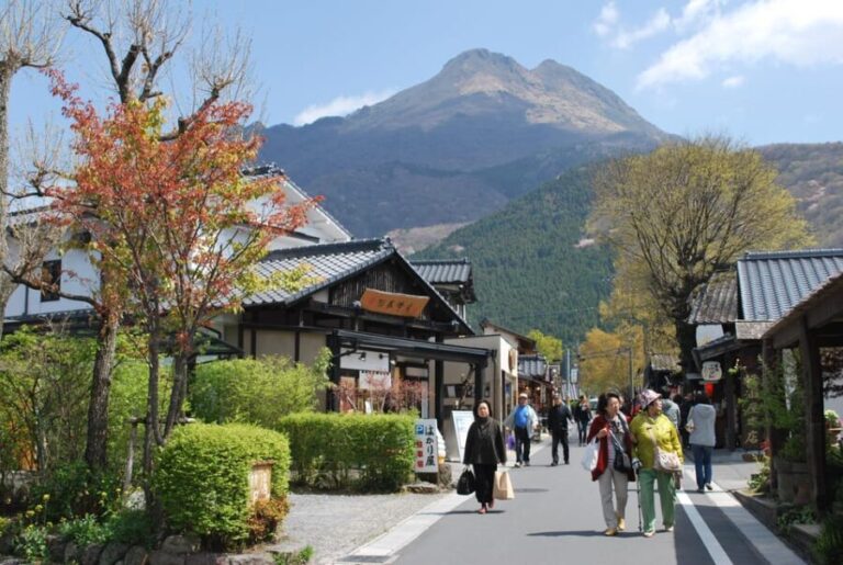 PRIVATE Day BUS Tour to KOKONOE & YUFUIN, BEPPU from Fukuoka - Pricing and Value