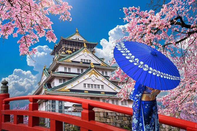 Private Day Tour in Osaka and Kyoto with charter car - What’s Included and What to Consider