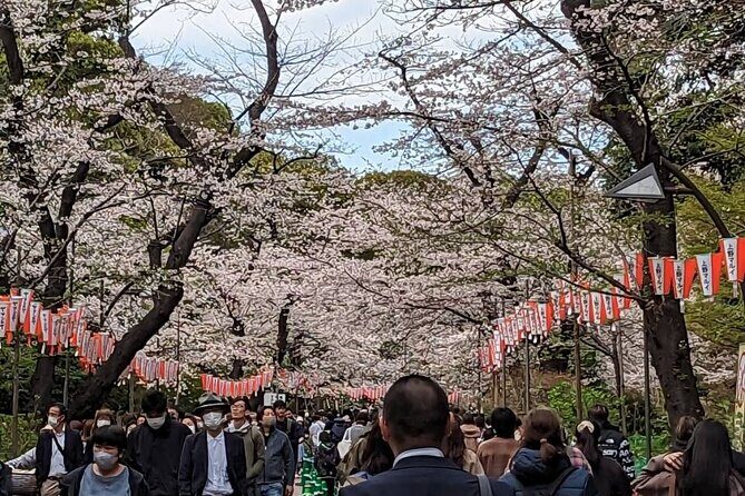 Private Day Tour In Tokyo with a Native English Speaker - Why Choose a Private, Customizable Tour?