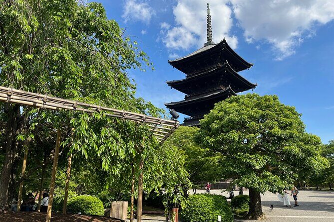 Private Day Tour of the Temples of Kyoto - What to Expect from the Experience