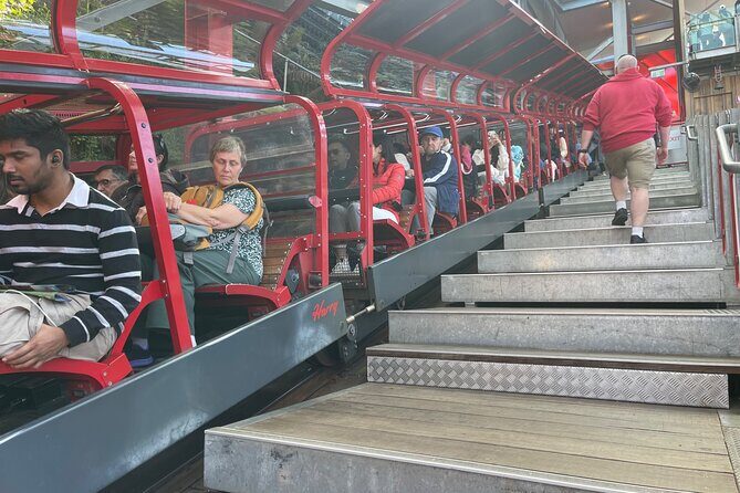 Private Day Trip to Featherdale, Scenic World and Three Sisters - What Travelers Say and Why It Matters