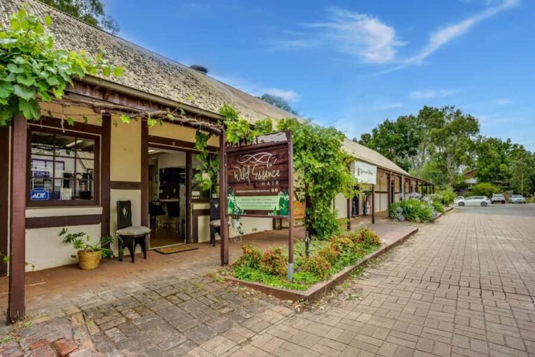 Private Day Trip to Hahndorf and McLaren Vale Bus - The Scenic Drive Through Adelaide Hills