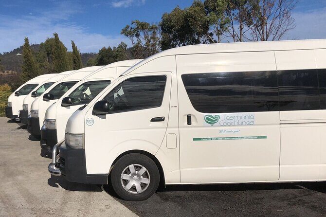 Private Day Trips Bay of Fire From Launceston 3days in advance - The Comfort and Convenience of Private Transport