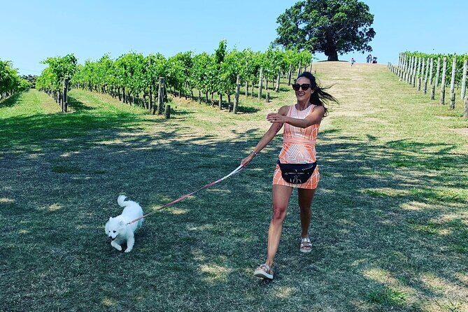 Private Dog Friendly Wine Tour with your Local Guide - What Travelers Say: Authentic Feedback and Authentic Experiences