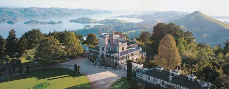 Private Dunedin City Highlights and Otago Peninsula Day Tour - Thorough Breakdown of the Tour Experience