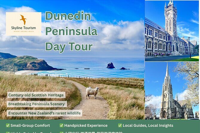Private Dunedin & Otago Peninsula Day Tour Up to 4 - A Closer Look at the Itinerary and Experience