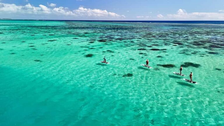 Private E-Board Tour of Moorea Lagoon - Who Will Love This Tour?