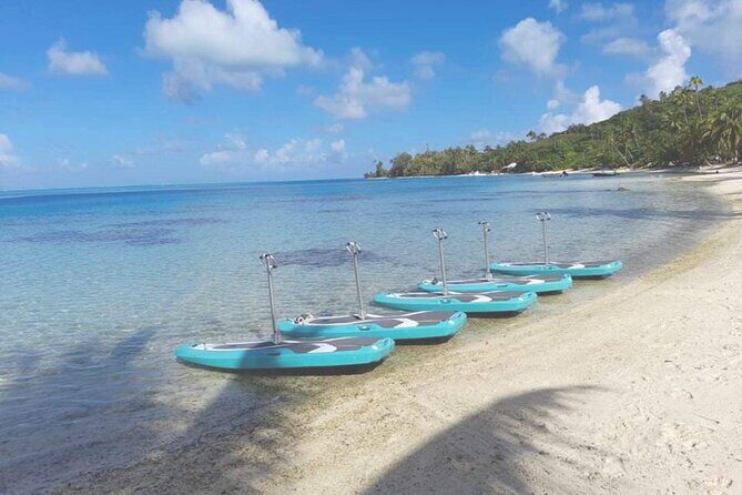 Private Electric Paddle Cruise in Bora Bora - Reviews in Brief